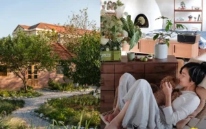 Người Phụ Nữ Chi 180 Triệu Đồng/Năm Thay Đổi Cuộc Sống Trên Hòn Đảo Bình Yên